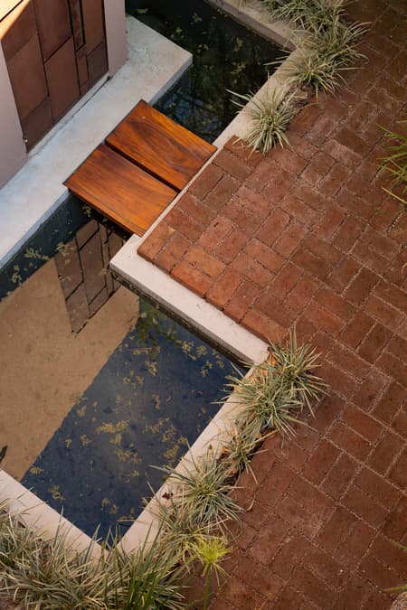 House around the Tree